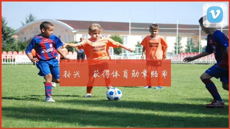 孙兴慜获得体育勋章赔率