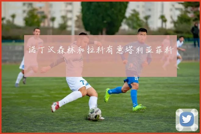 诺丁汉森林和拉科有意塔利亚菲科